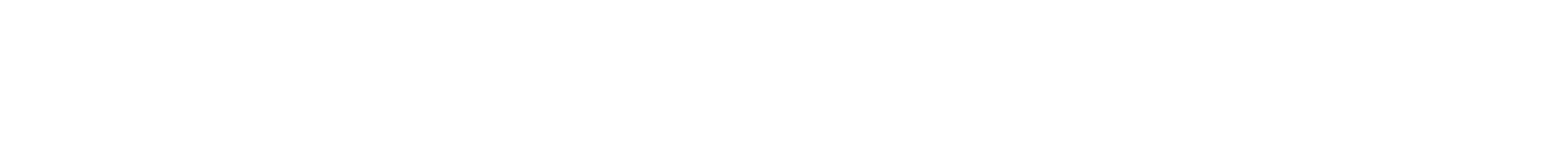 light logo